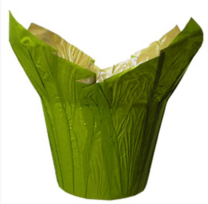 De groene Natuurlijke Kraftpapier-Document Bloempotten behandelen/Kleine Binnen Decoratieve Bloempotten