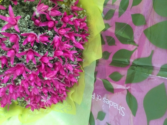 De gedrukte Niet-geweven Bloemkokers rolt Groothandel voor Verse Bloemen/Huwelijksgift het Verpakken